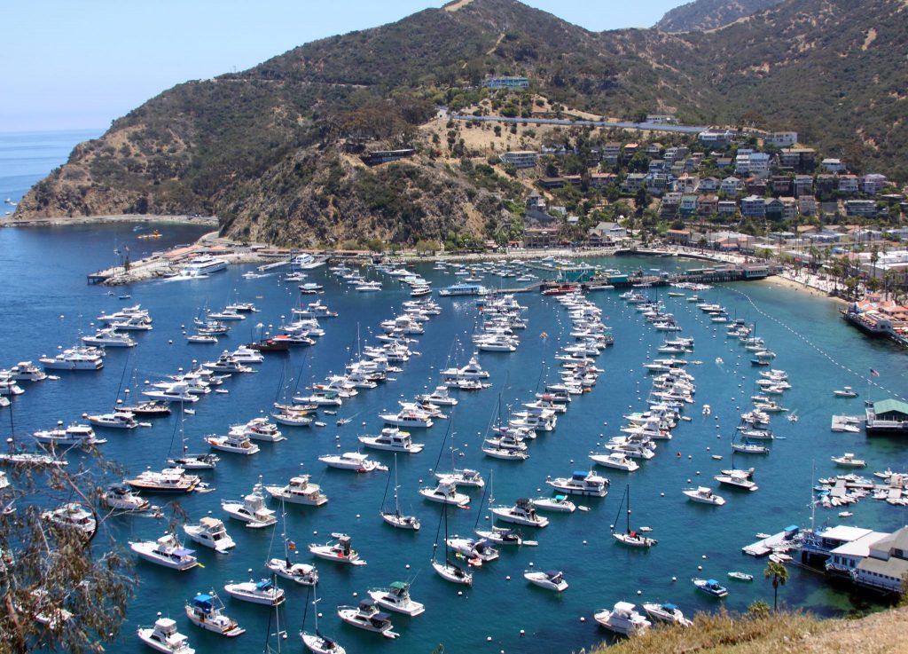 View of City and Bay of Avalon, California on Catalina island from above