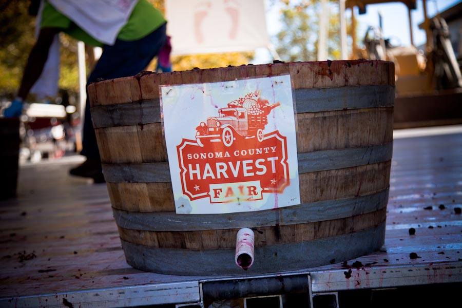 Sonoma-County-Harvest-Festival
