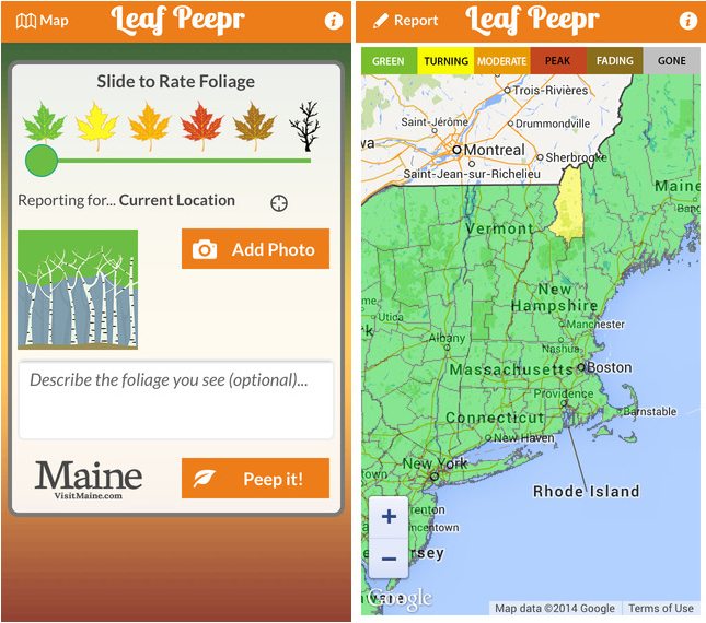 Fall-Foliage-App-Leaf-Peepr