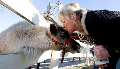 Julie Kisses Reindeer