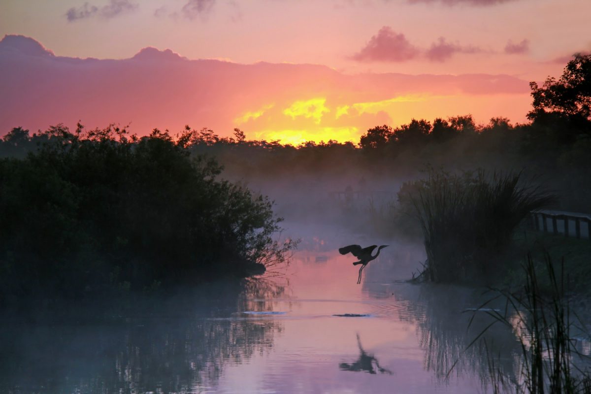 Everglades National Park at Sunrise 