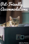 Finding Pet-Friendly Attractions and Accommodations