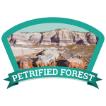 Petrified Forest Badge