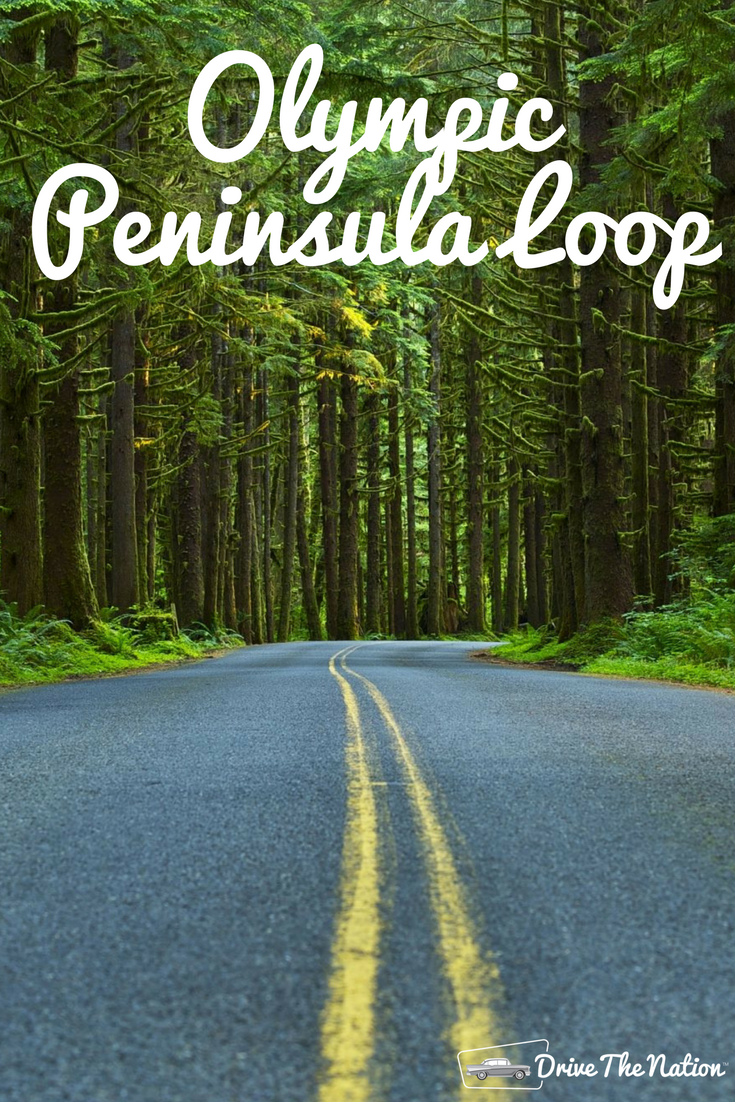 The Olympic Peninsula Loop is a scenic drive around western Washington State. Explore rainforests and incredible sights on this drive!