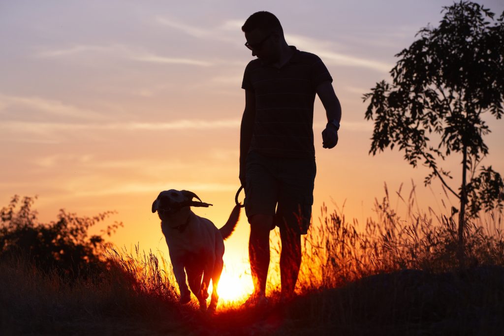 Man walking dog at sunset