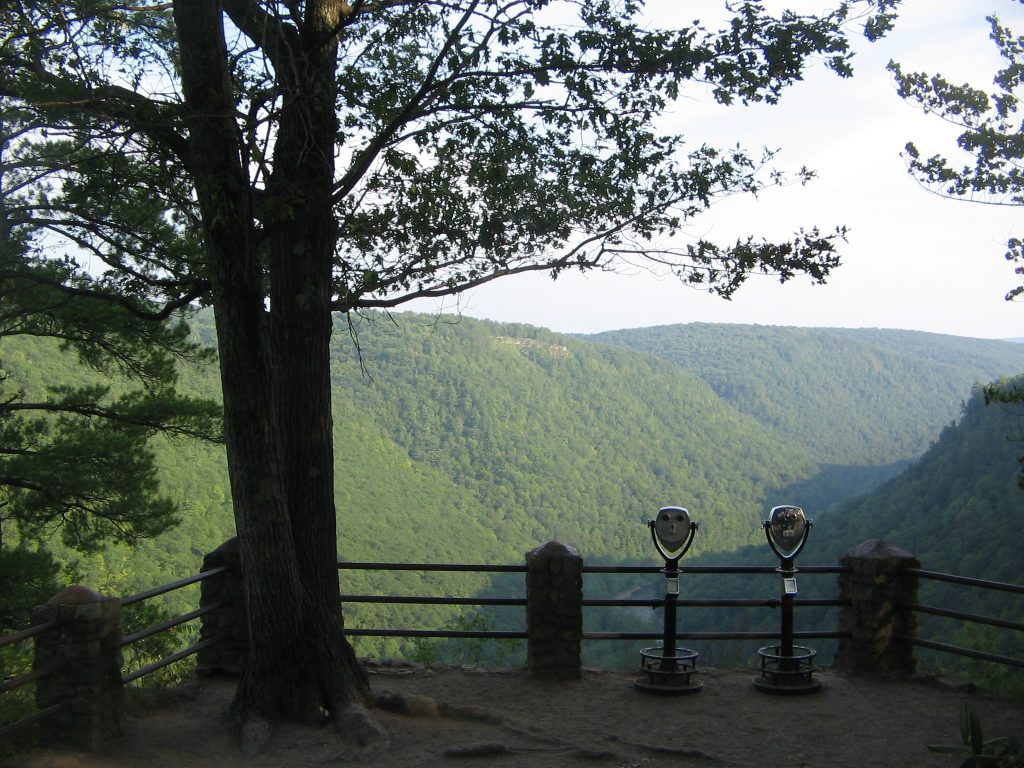 Colton Point State Park Overlook