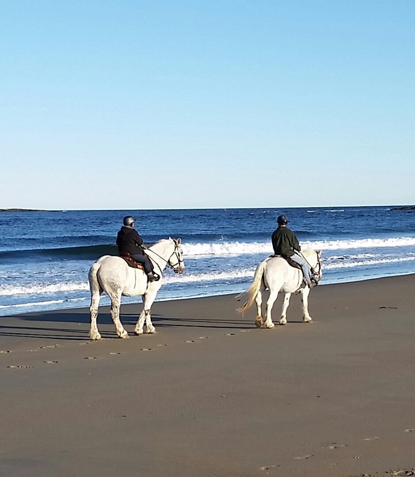 Popham Beach Horseback Riding