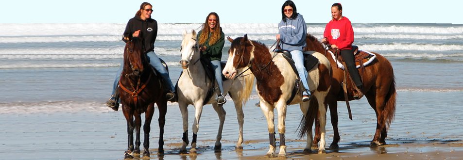 Oceano Dunes Preserve Horse Riding
