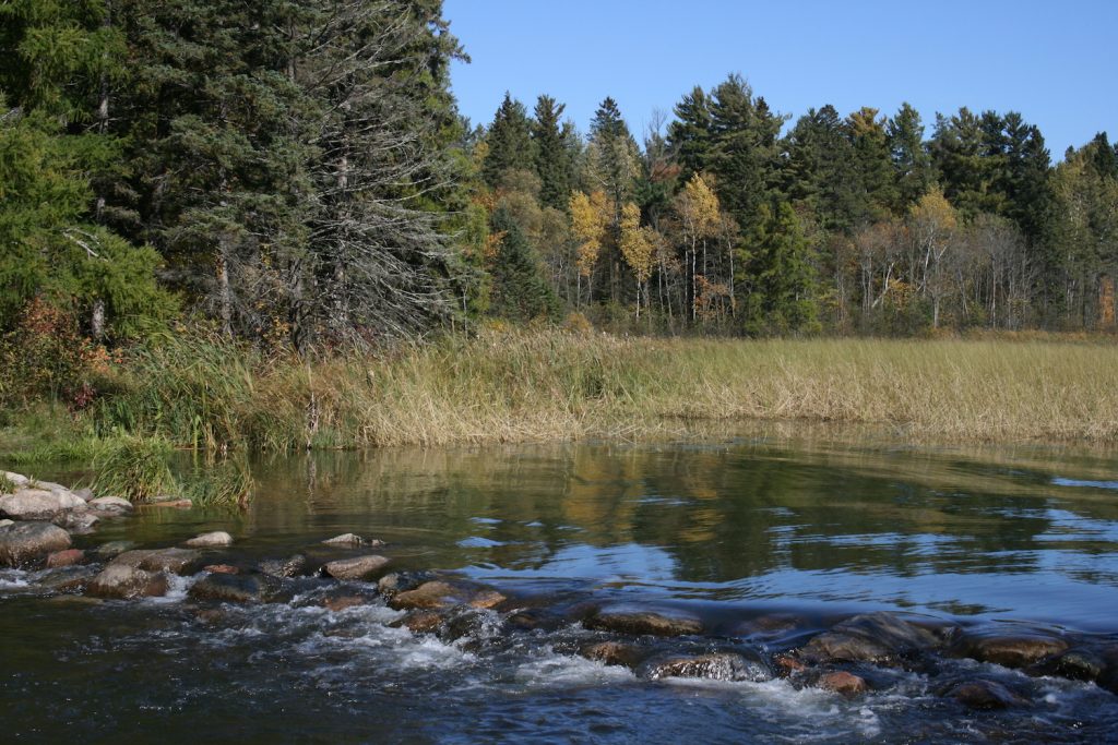 Catch a glimpse of the Mississippi River at it's headwaters in Itasca State Park, Minnesota
