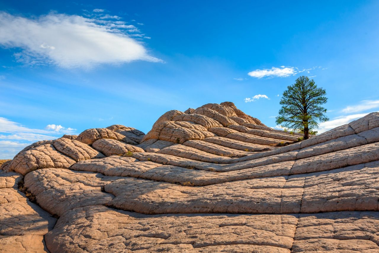 White Pocket rock formations, Vermilion Cliffs National Monument, Arizona, USA