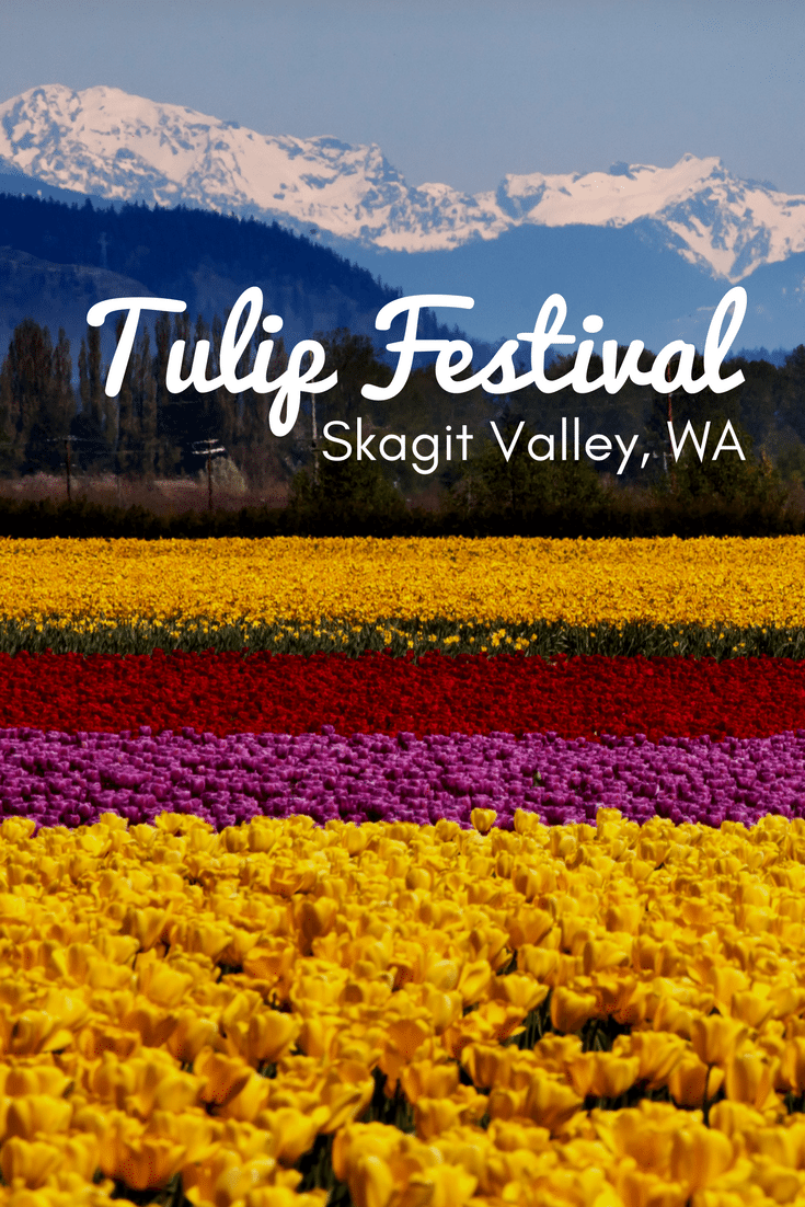 Tiptoe through the tulips at this breathtaking festival in Washington.