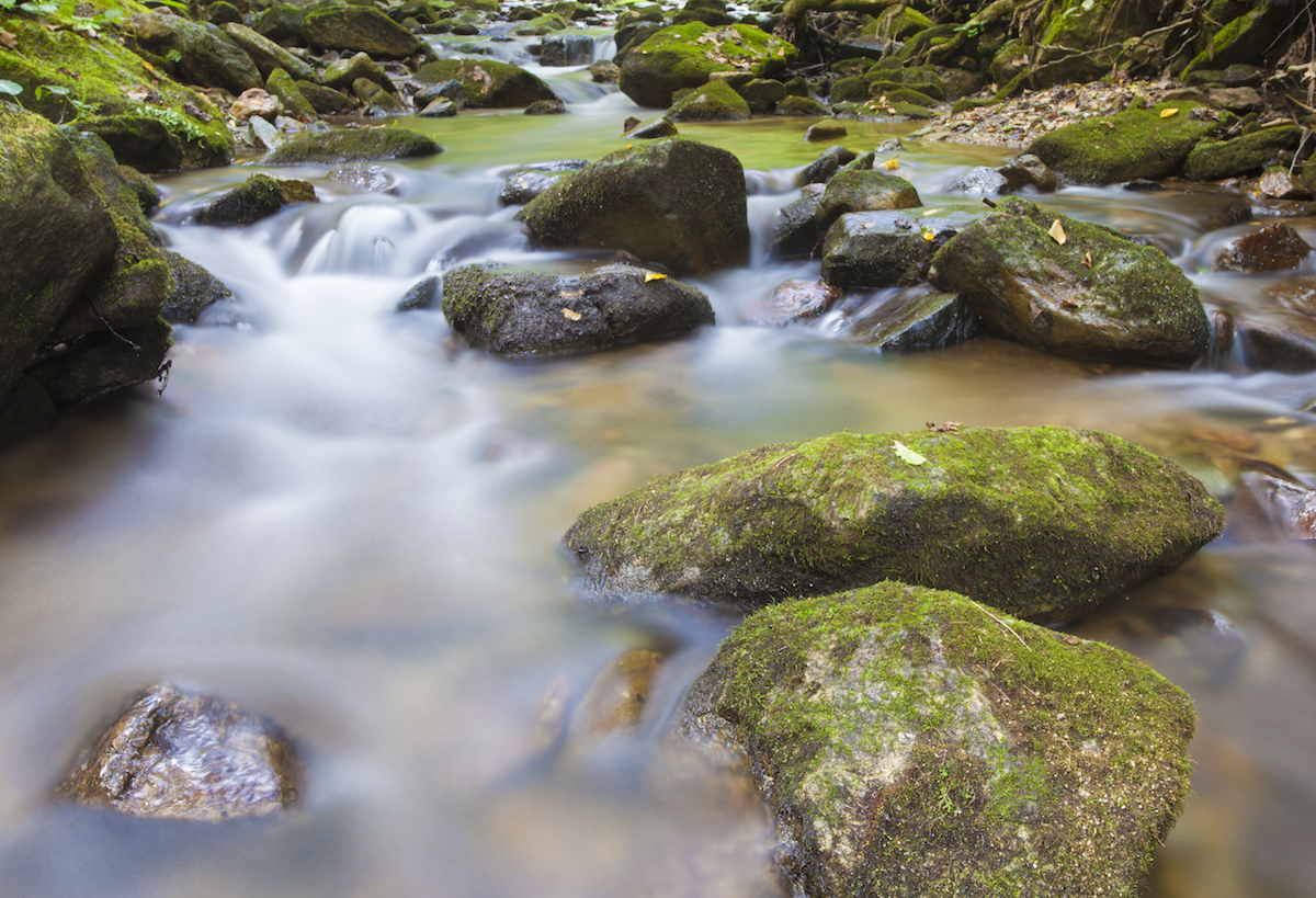 Water running over rocks on Pisgah National Forest in North Carolina
