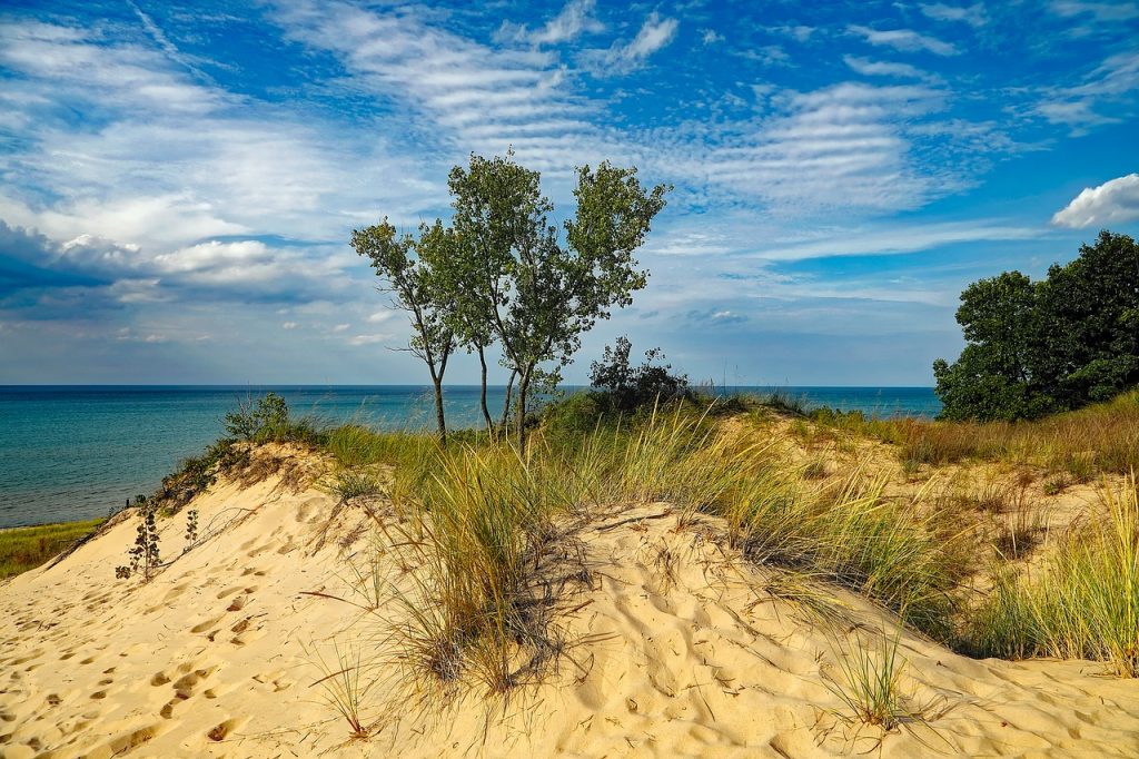 blue skies, water and greenery near the Indiana sand dunes 