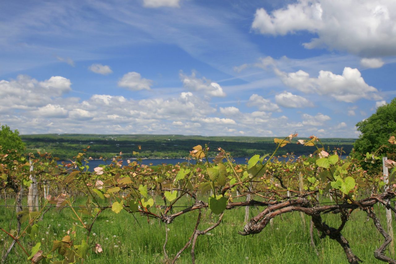 The Finger Lakes Of Upstate New York
