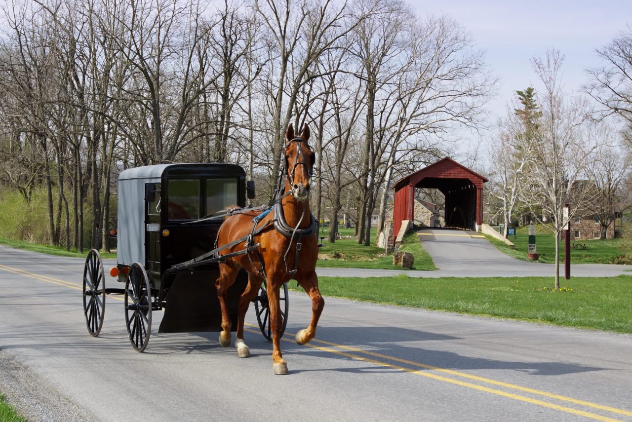 Explore Amish Country