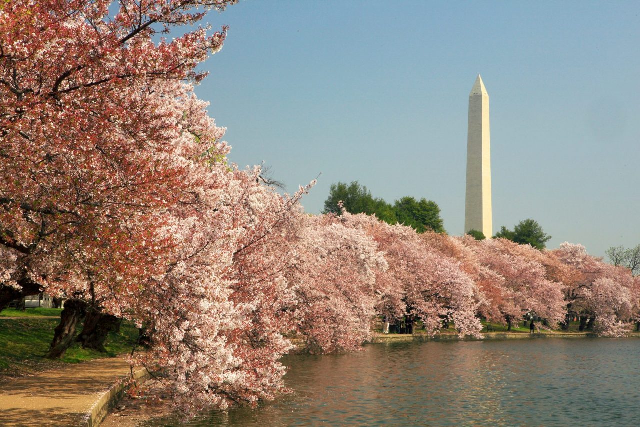 Free Things To Do In D.C.