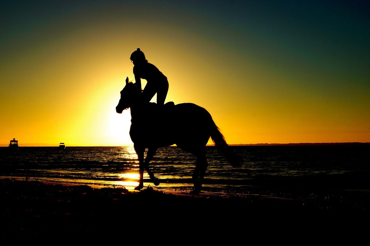 See America on These 5 Horseback Riding Tours