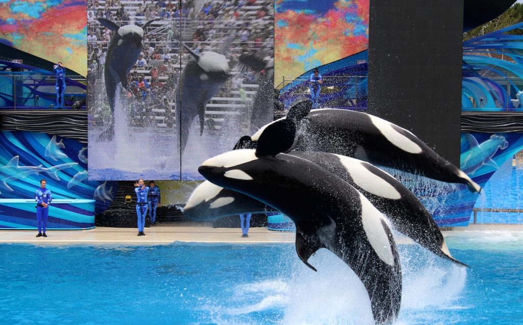 Best Aquariums In The U.S. Best Aquariums In The U.S.