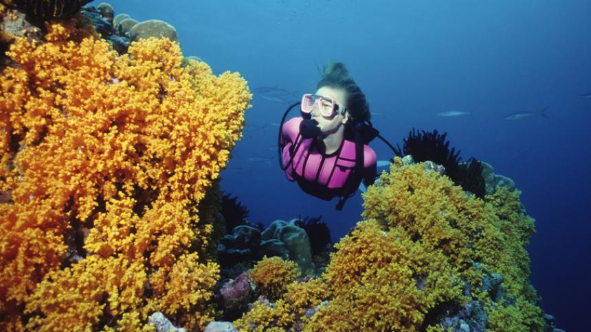 5 Best Scuba Dive Spots in Florida