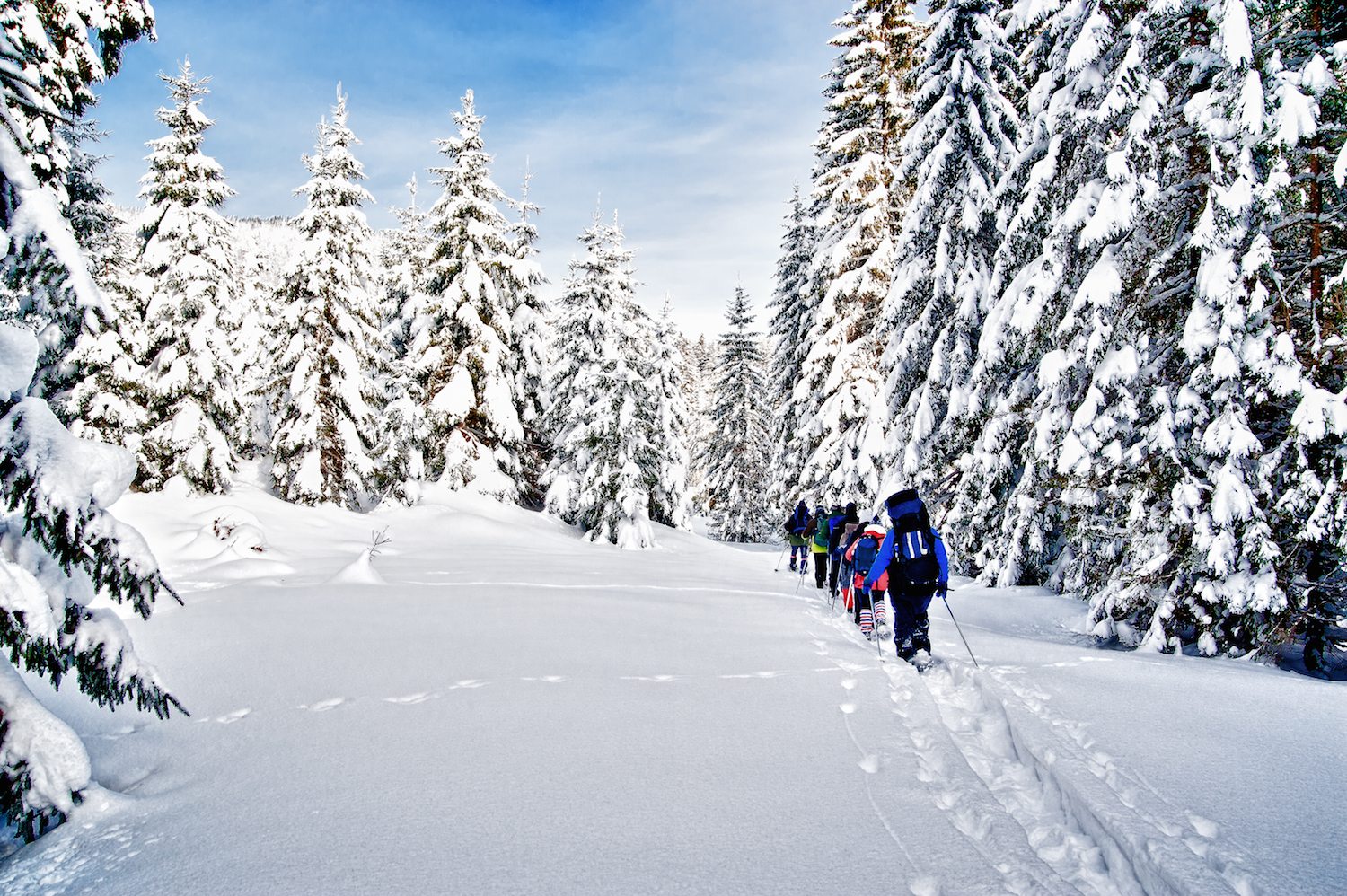 Three Places to Enjoy Snowshoeing this Winter