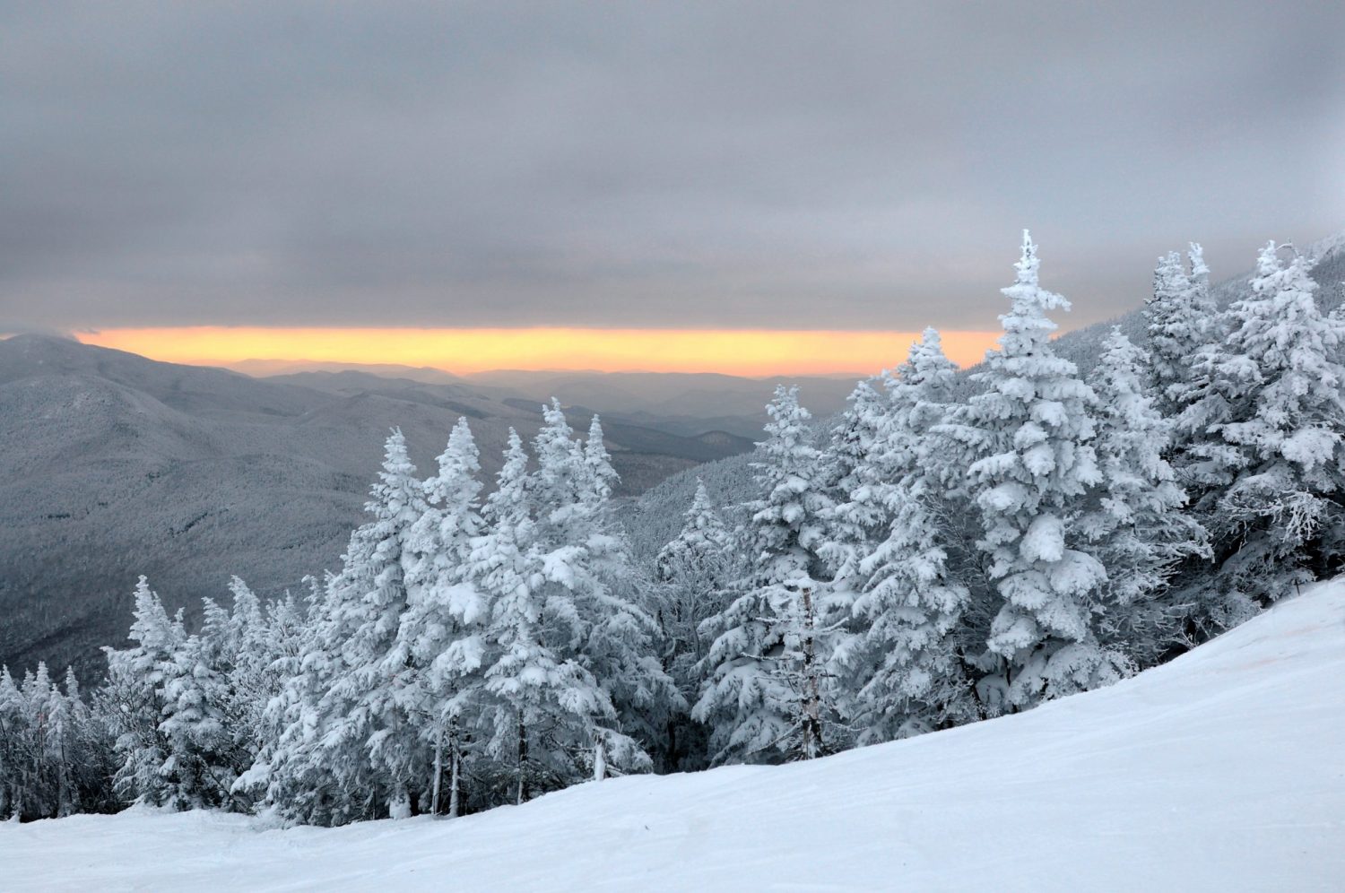 Winter Wonderlands Drive The Nation