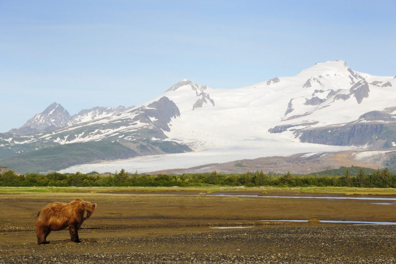 View Bears and Volcanoes at Alaska’s Katmai National Park