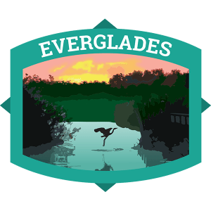 You'll find one of our country's most vibrant ecosystems at Everglades National Park, where you can boat, kayak, canoe, or hike your way to see fish, birds, and maybe even a manatee or alligator! 