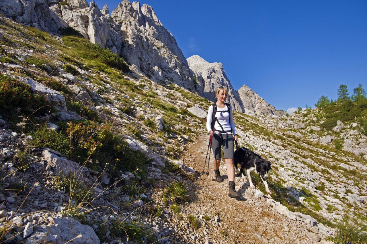 The 5 Best National Parks to Bring Your Dog