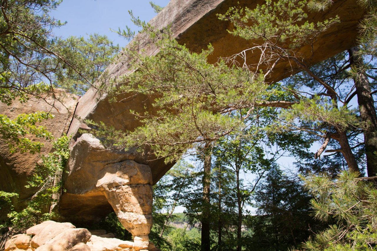 Top 9  Natural Arches in the U.S.