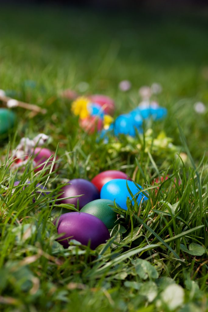 The World’s Largest Easter Egg Hunt Drive The Nation