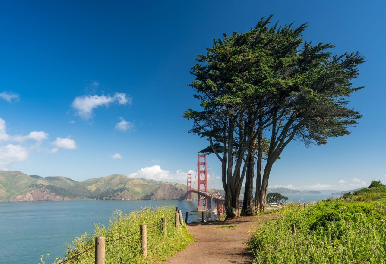 Marin Headlands at Golden Gate Park