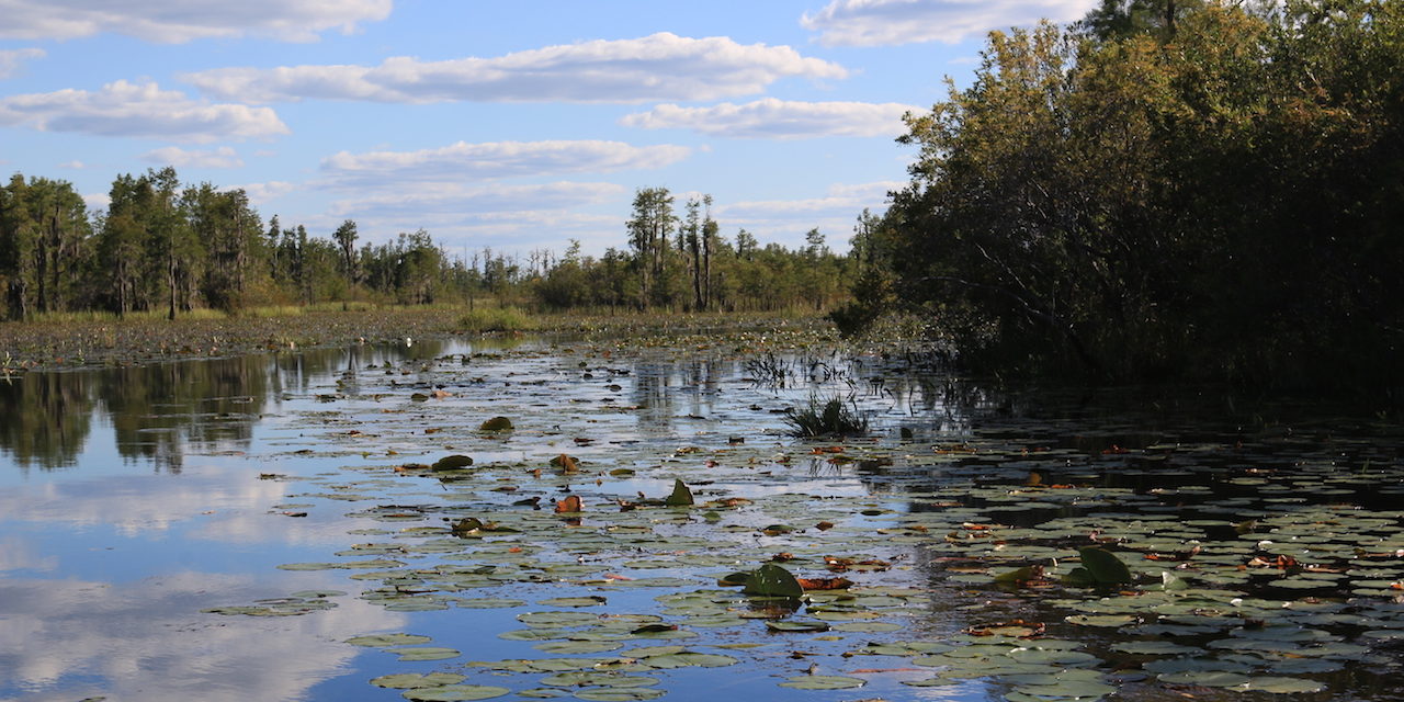 Okefenokee National Wildlife Refuge