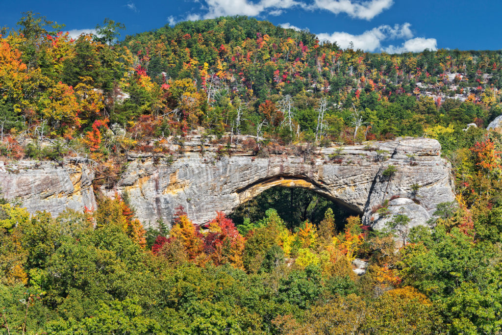 Daniel Boone National Forest Drive The Nation