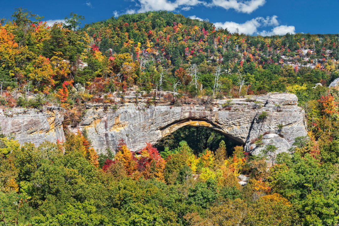 Daniel Boone National Forest Drive The Nation