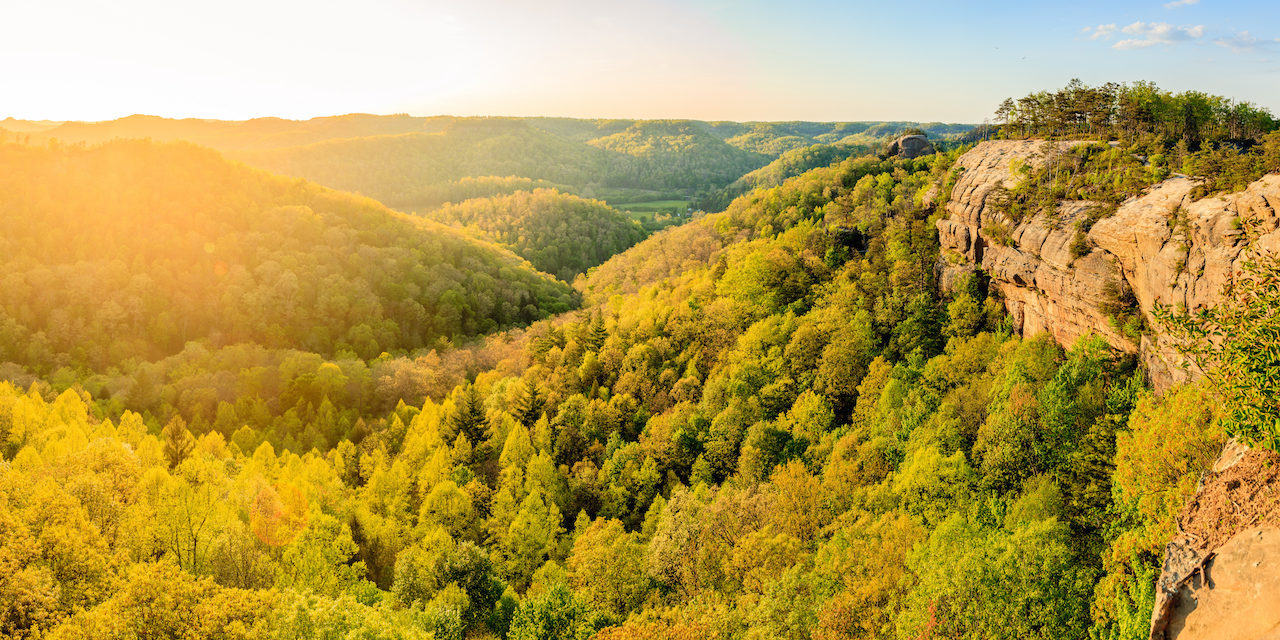 Daniel Boone National Forest