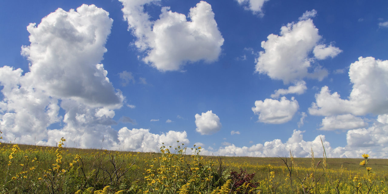 Tallgrass Prairie National Preserve