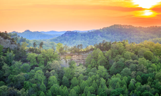 Exploring Red River Gorge
