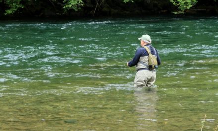 Discover Umpqua, Oregon