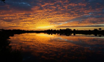 Big Cypress National Preserve