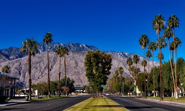 Quick Guide to Palm Springs
