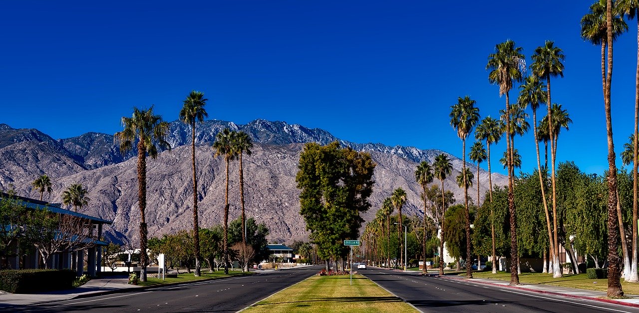 Quick Guide to Palm Springs