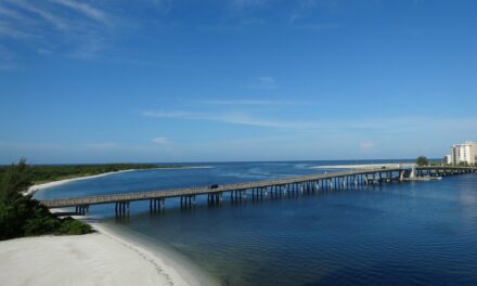 Scenic Drives in Florida