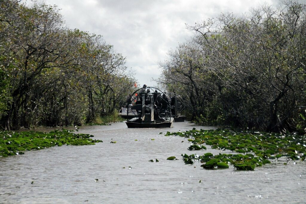airboat on the water in the mangroves of the Everglades 