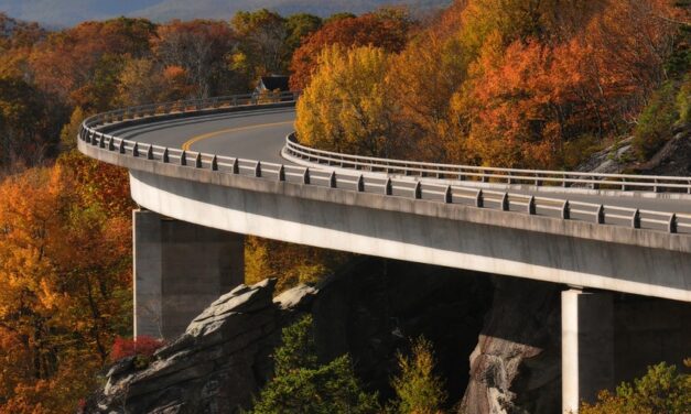 5 Reasons to Drive The Blue Ridge Parkway